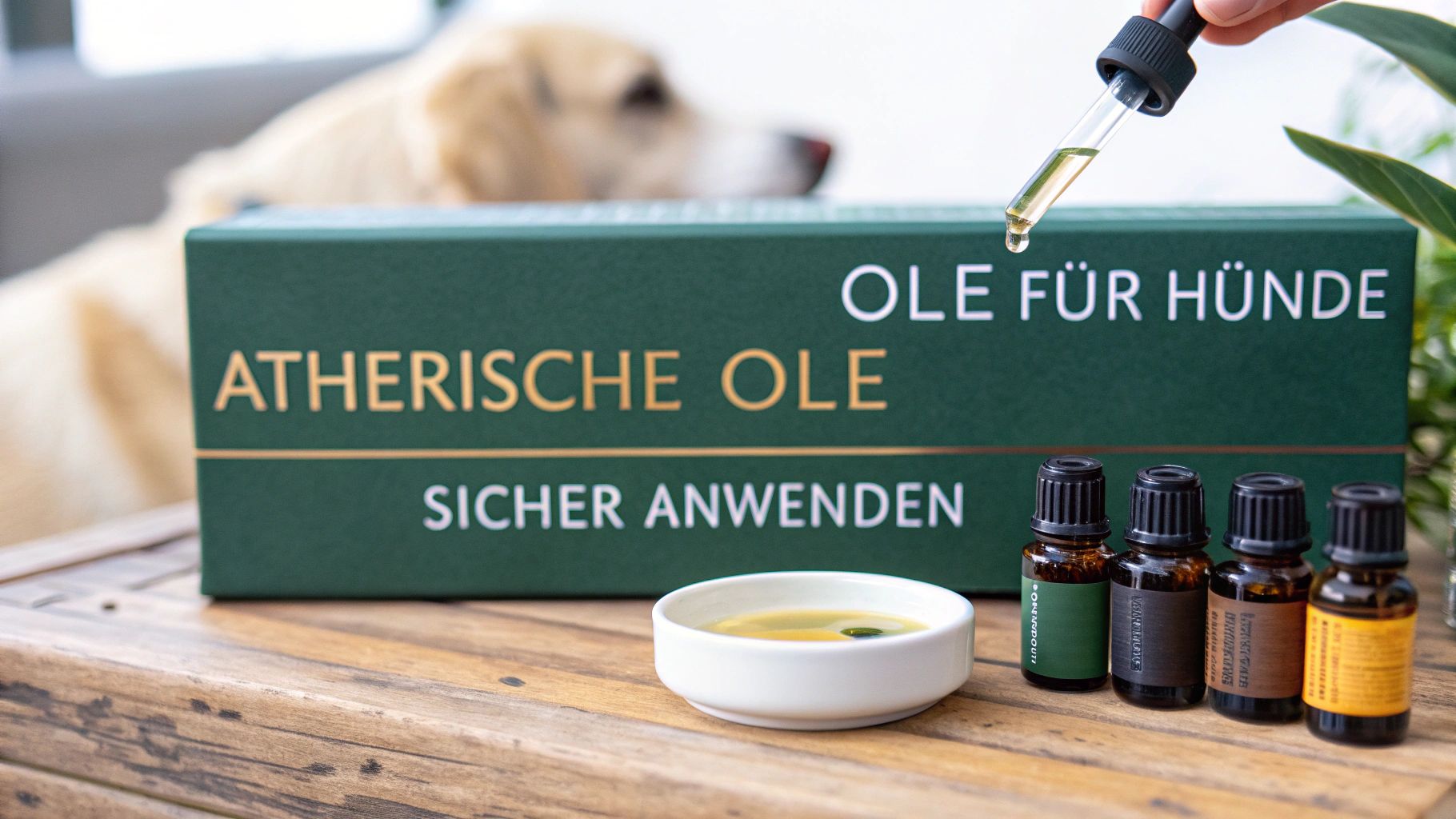 Ätherische öle für hunde sicher anwenden