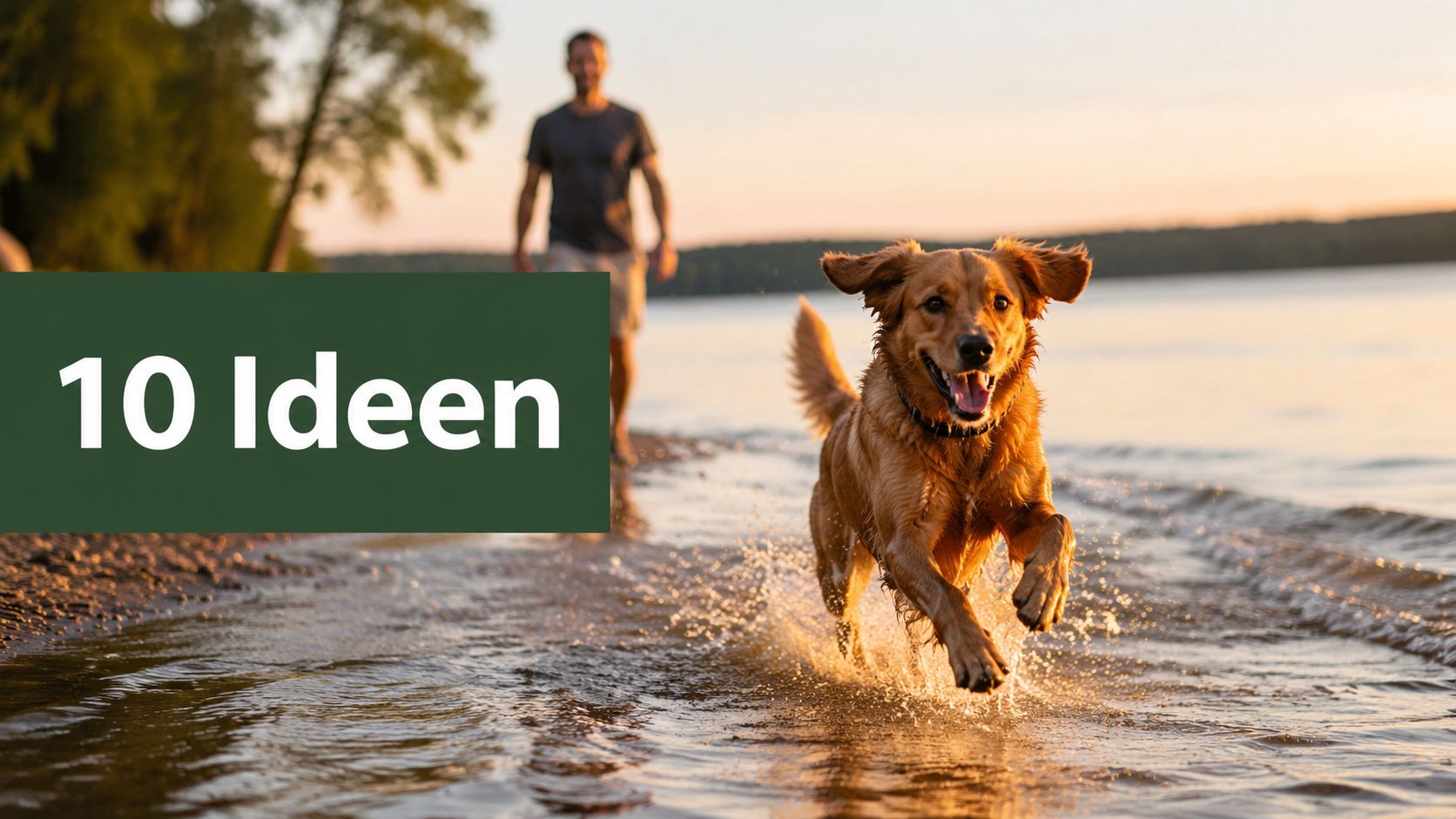 Aktivitäten mit Hund 2026: 10 Ideen für Gesundheit & Spaß