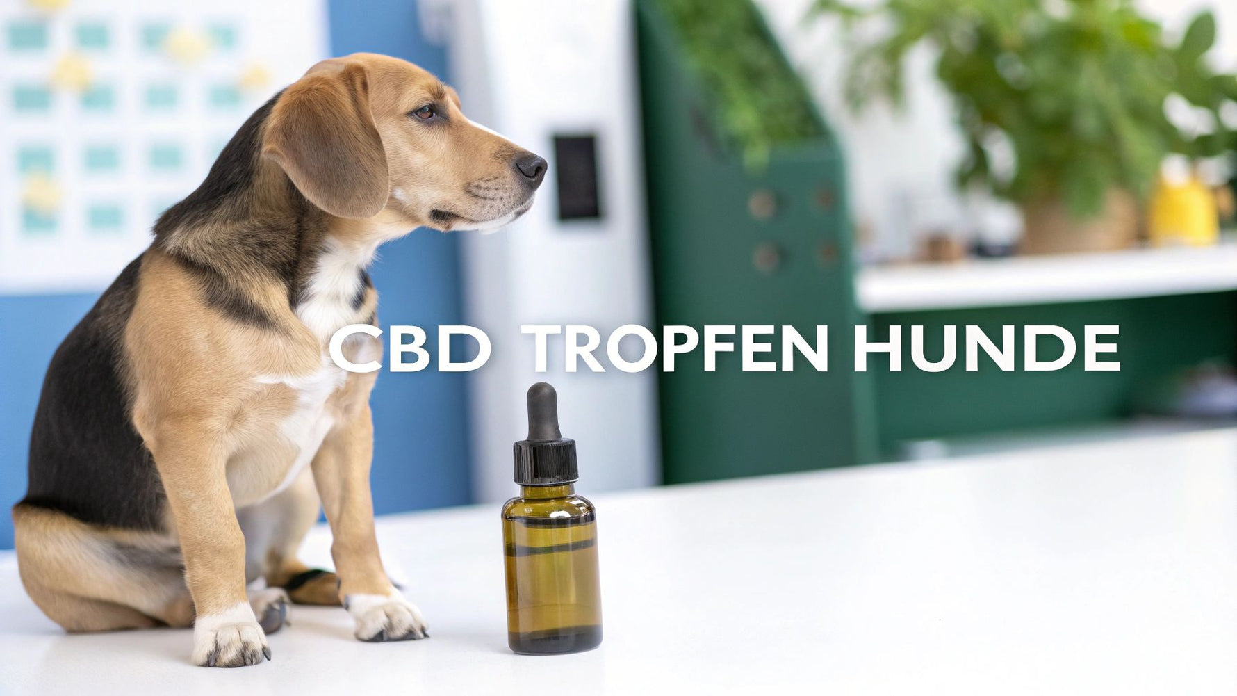 Cbd Tropfen Hunde – cbd tropfen hunde: Ein praxisnaher Leitfaden