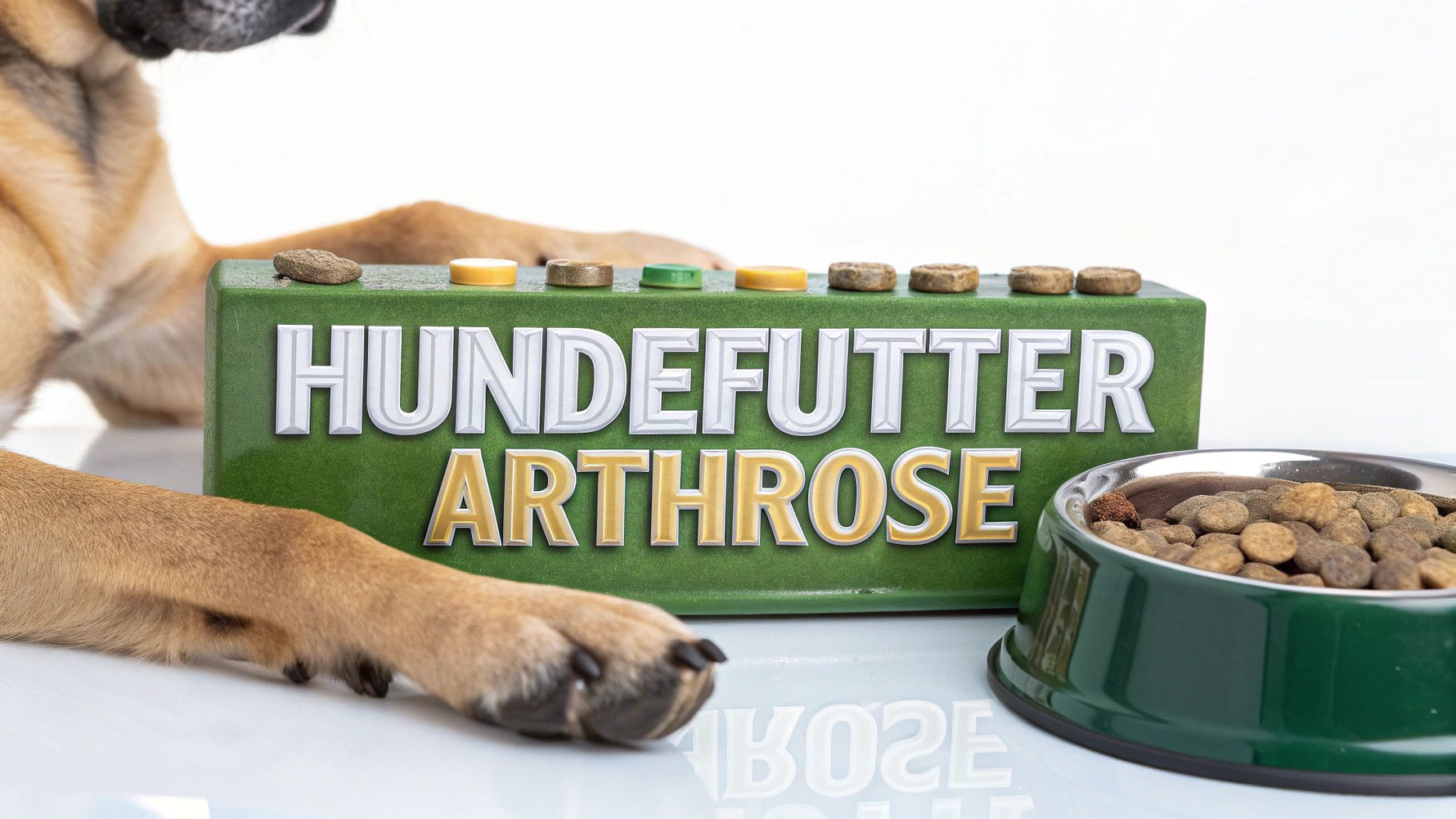 Das richtige hundefutter bei arthrose