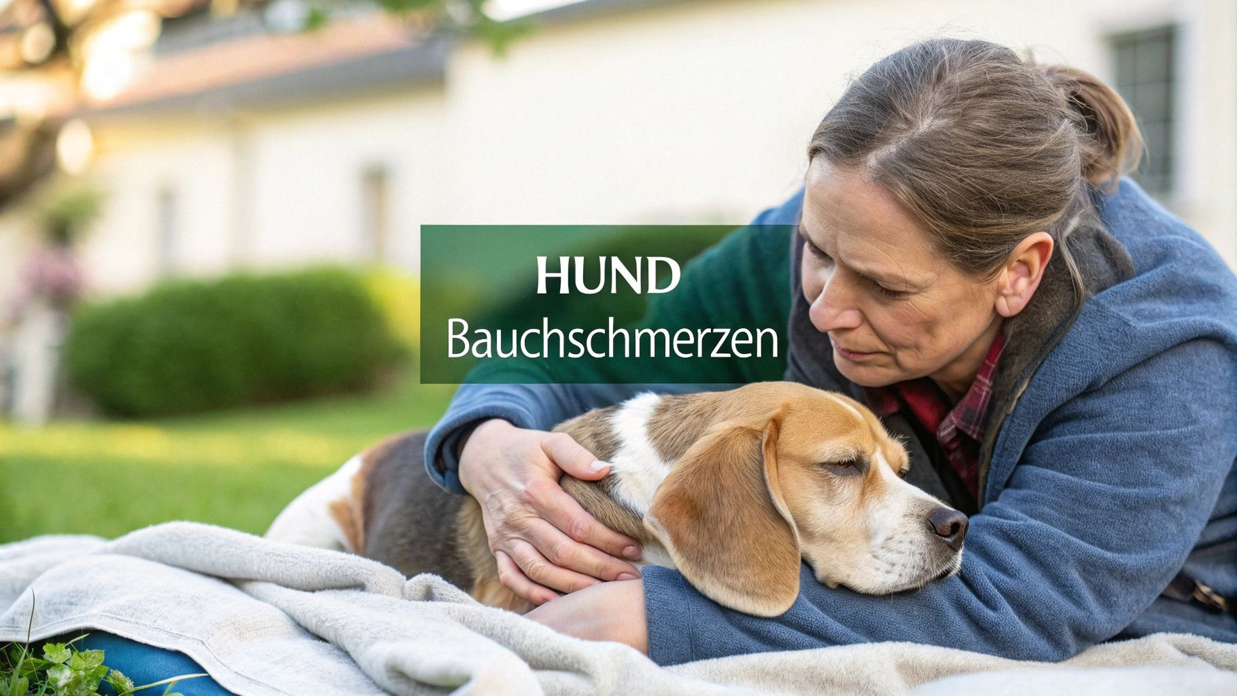 Hund hat bauchschmerzen was sie sofort tun können