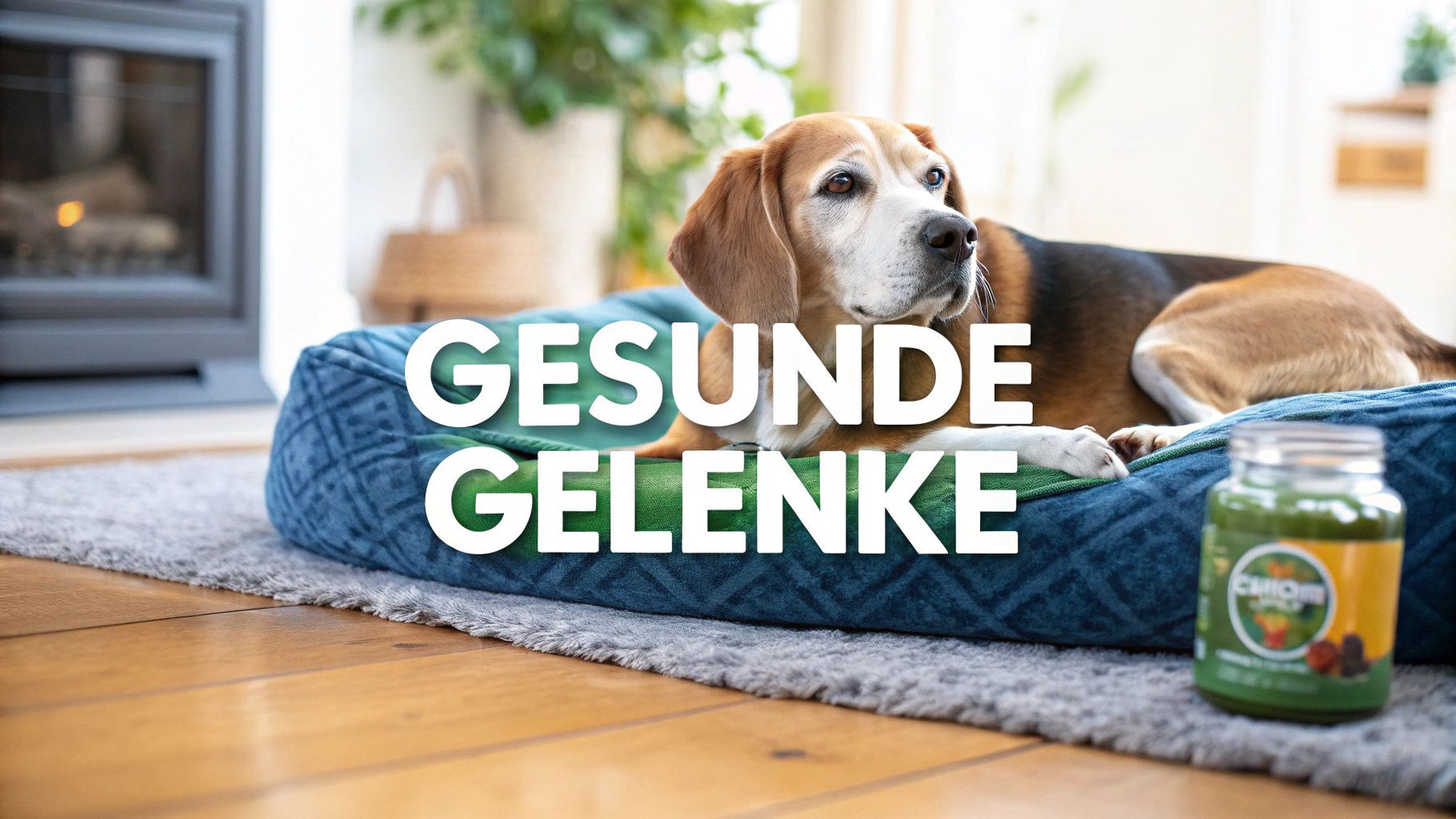 Gelenkschmerzen Hund natürlich behandeln – Tipps & Methoden