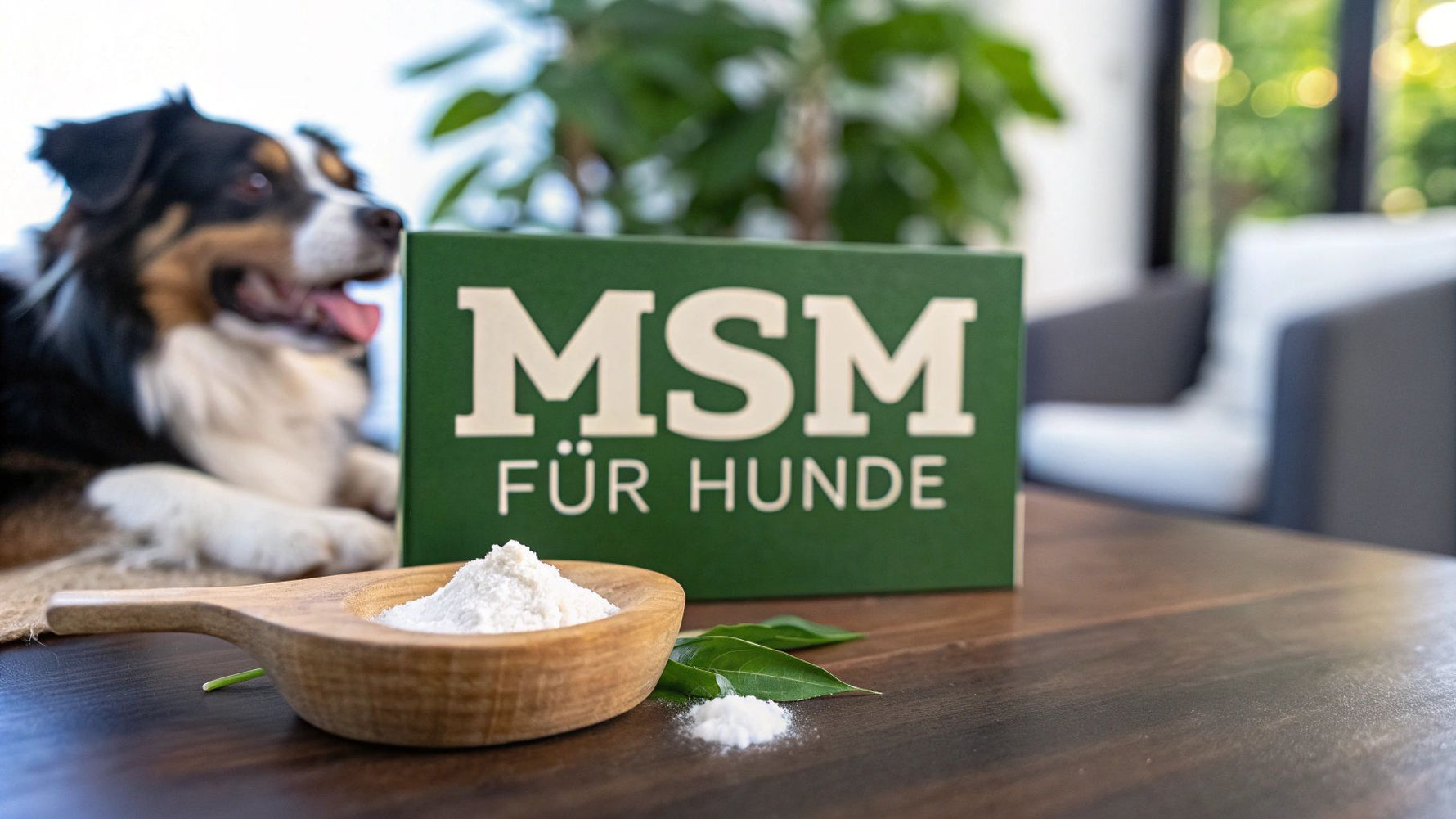 MSM Pulver für Hunde: Vorteile & Anwendung