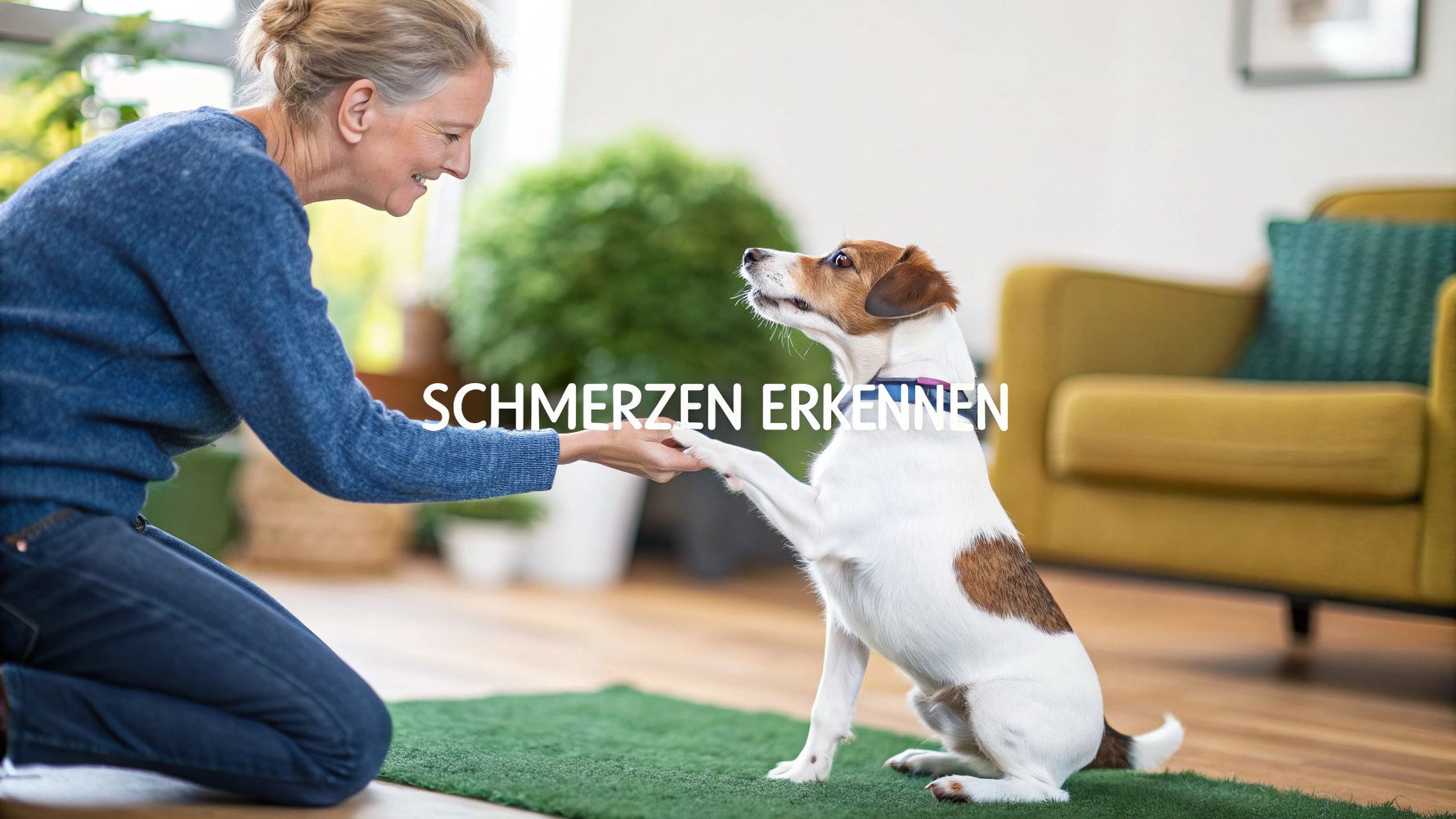 Hund Schmerzen Erkennen: Tipps für schnelle Hilfe