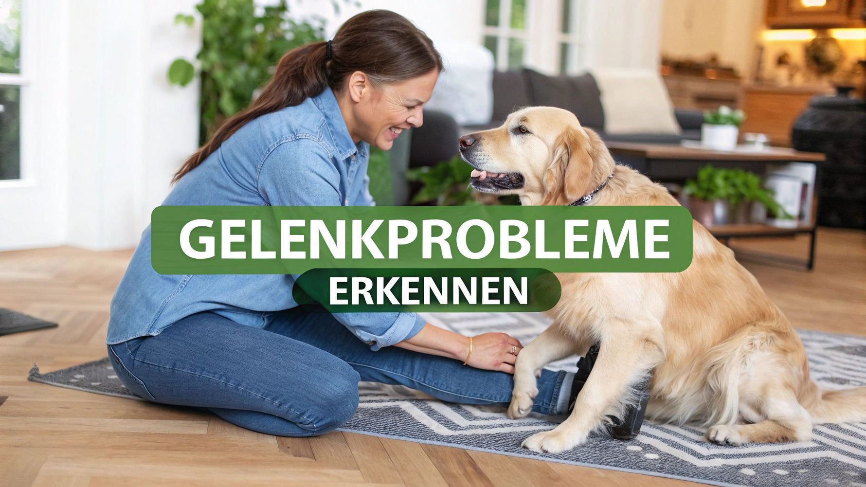 7 Anzeichen: Gelenkprobleme beim Hund erkennen [2025]