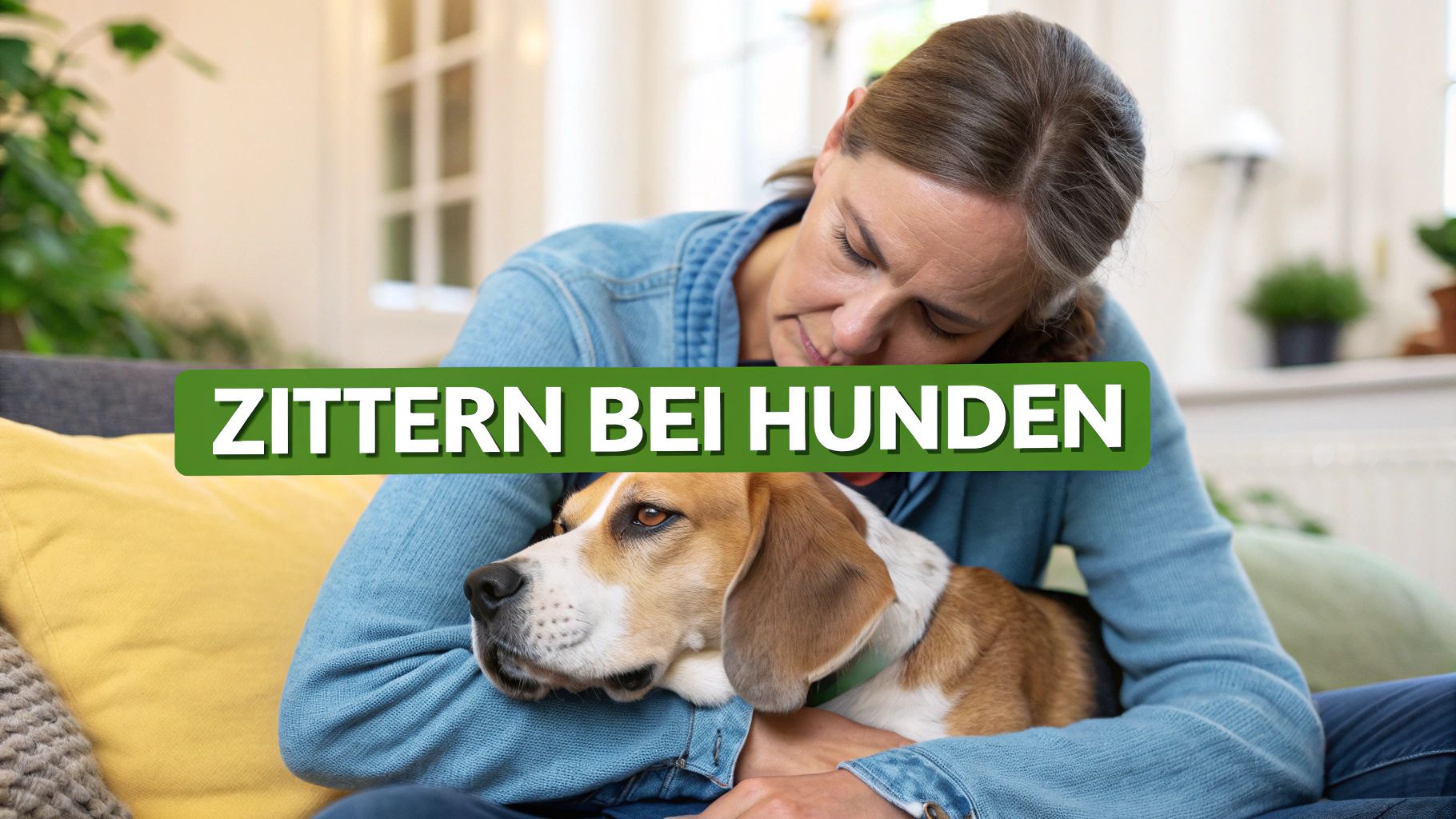 plötzliches zittern bei hunden: Ursachen & Hilfe
