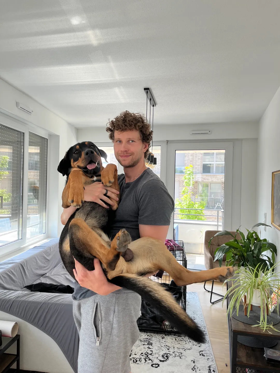 Grosser_Hund_Dr._Wuffy