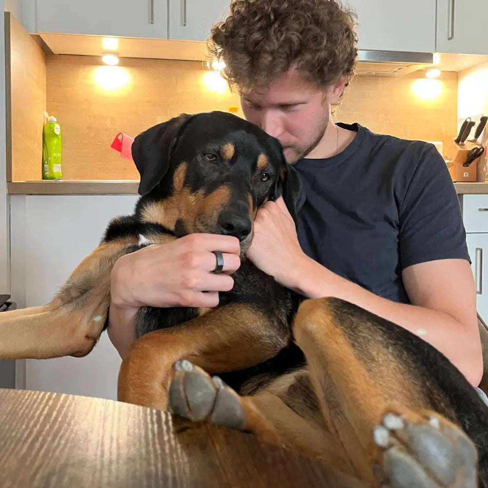 Dr. Wuffy Inhaltsstoffe und Qualität
