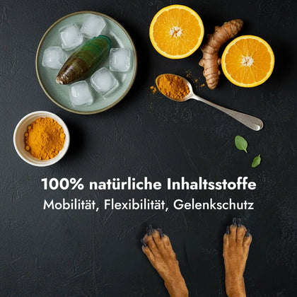 Dr. Wuffys Gelenkformel – getestet von Wolfgang