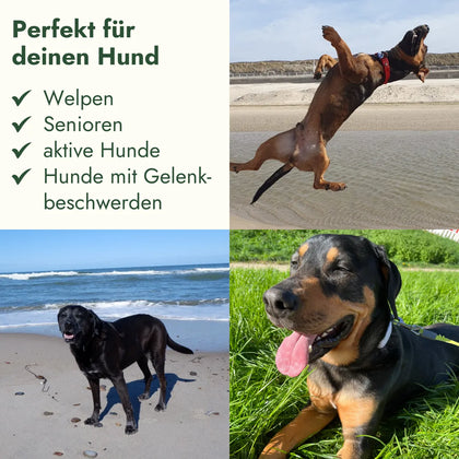 Dr. Wuffys Gelenkformel – getestet von Wolfgang