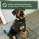 Hund